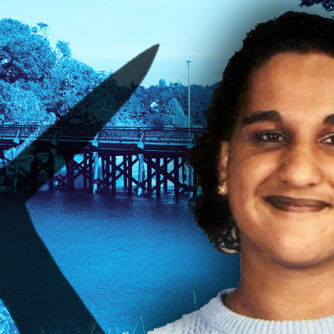 Υπόθεση, Ρίνα Βίρκ: Πώς η βία των έφηβων κοριτσιών έφτασε μέχρι τον φόνο κάτω από τη γέφυρα Κρεγκφλάουερ