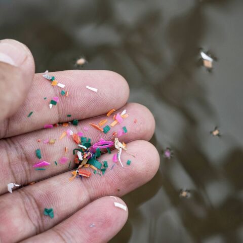 Μικροπλαστικά