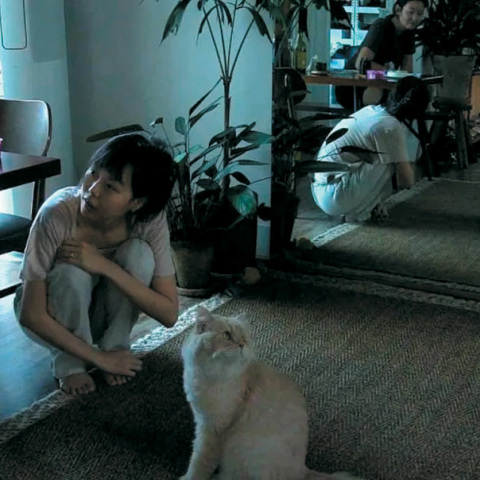 Μέσα στη μέρα: Ρουτινιάρικος Χονγκ Σανγκ-σου