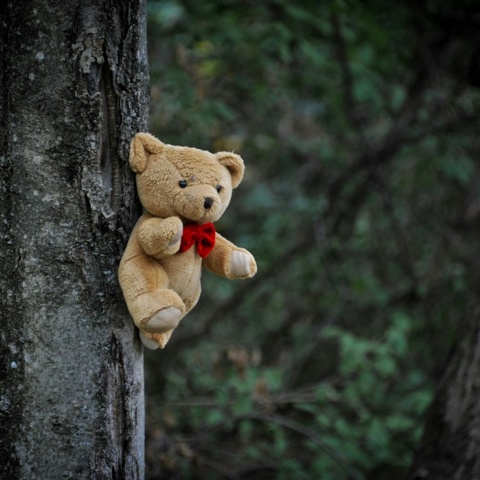 Λούτρινο αρκουδάκι κρεμασμένο σε δέντρο