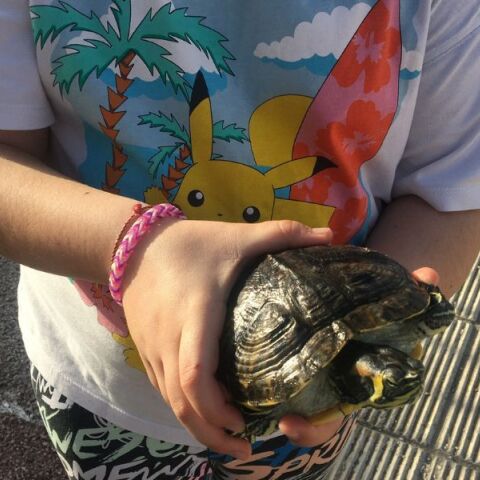 Ηράκλειο: Στο σχολείο με τα κατοικίδιά τους οι μαθητές του 4ου δημοτικού Νέας Αλικαρνασσού - με αφορμή την παγκόσμια ημέρα αδέσποτων ζώων.