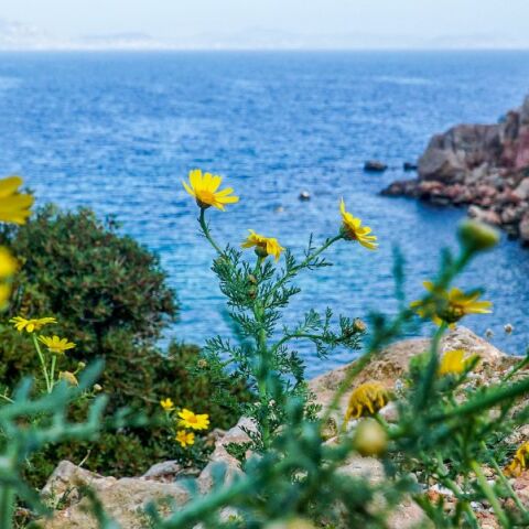 Πρόγνωση καιρού: Ηλιοφάνεια και μικρή άνοδος θερμοκρασίας την Κυριακή 7 Απριλίου - Τοπικές βροχές και μεμονωμένες καταιγίδες.