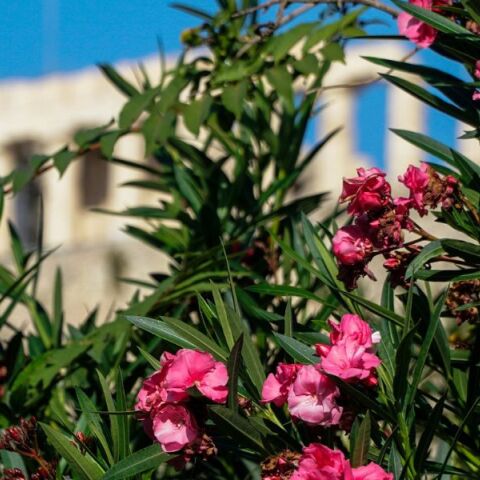 Καιρός: Αίθριος αύριο Δευτέρα 8 Απριλίου με πιθανότητα βροχών - Αναλυτική πρόγνωση από το meteo και την ΕΜΥ.