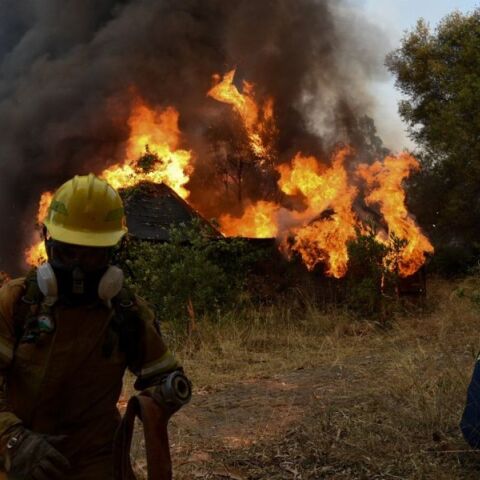 Ιεράπετρα: Συνελήφθη άνδρας για τη φωτιά που εκδηλώθηκε στην περιοχή Μαύρο Κόλυμπο Λασιθίου - Θα οδηγηθεί αύριο ενώπιον του Εισαγγελέα Πλημμελειοδικών.