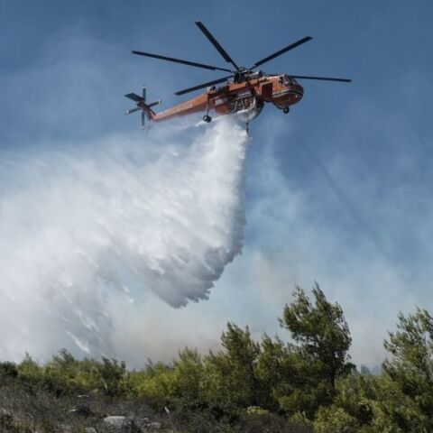 Πυρκαγιά στο Λασίθι: Μόνο διάσπαρτους καπνούς αντιμετωπίζει πλέον η πυροσβεστική - Σε ετοιμότητα επιπέδου 4 η Πολιτική Προστασία.