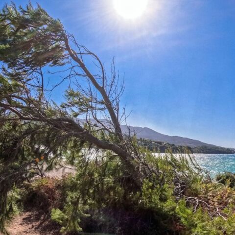 Τοπίο στη θάλασσα με ηλιοφάνεια