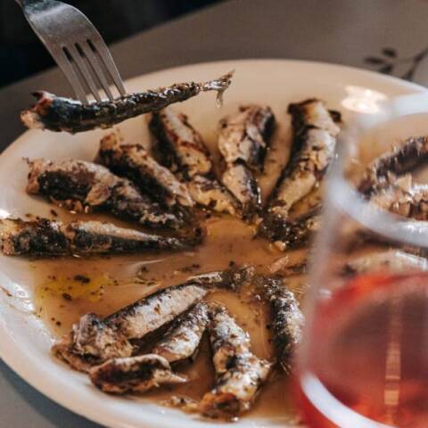 Το Θεραπευτήριο