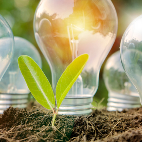 Απολιγνιτοποίηση 4 χρόνια μετά: Τι δείχνουν τα στοιχεία για Ελλάδα και Ευρωπαϊκή Ένωση