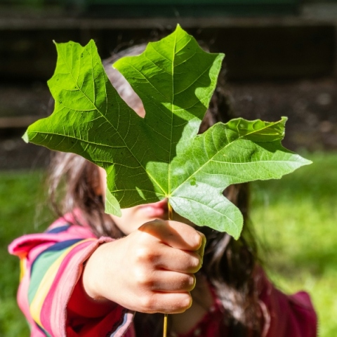 Μεταρρυθμιστικές προτάσεις για το Δίκαιον του Περιβάλλοντος