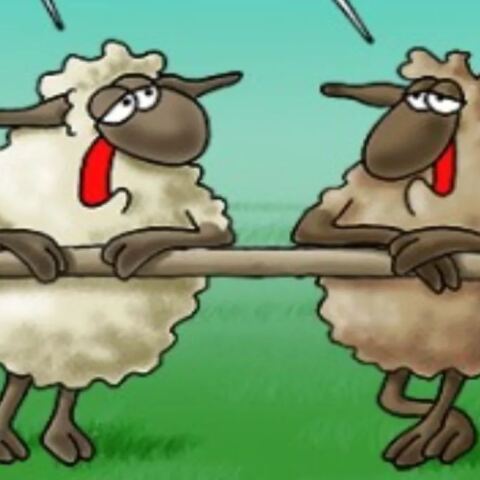 Το σημερινό σκίτσο του Αρκά