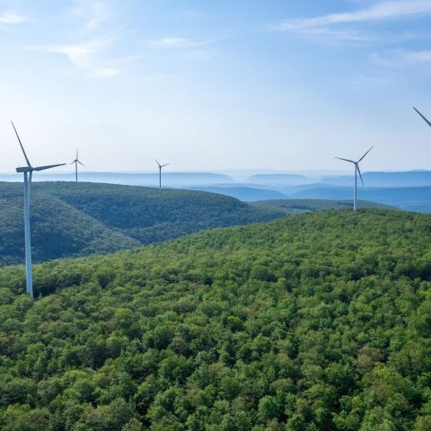 ΔΕΗ: Συνεργασίες και δεσμεύσεις για την ανάπτυξη της βιωσιμότητας