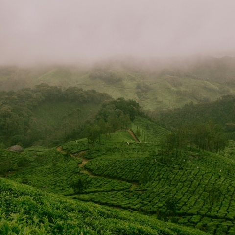 Περιβαλλοντικές δράσεις της ΔΕΗ
