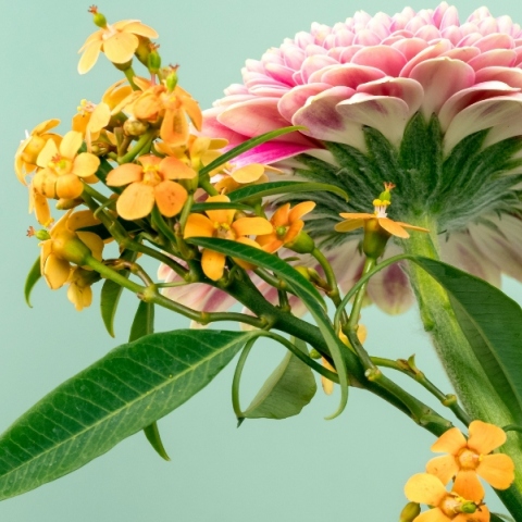 Εορτολόγιο: Σήμερα 18 Απριλίου 2024 γιορτάζει…