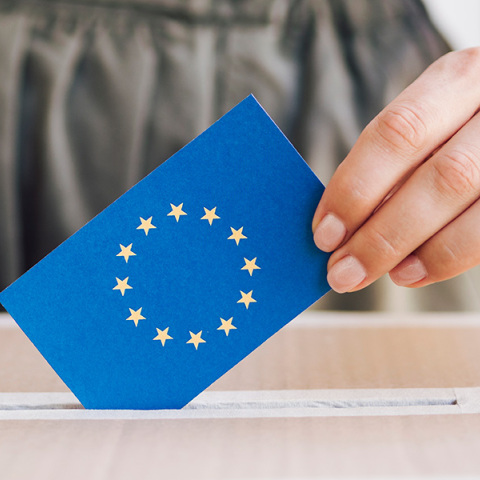 Ευρωεκλογές 2024: Ένα κοινωνικό πείραμα σε κολυμπήθρα