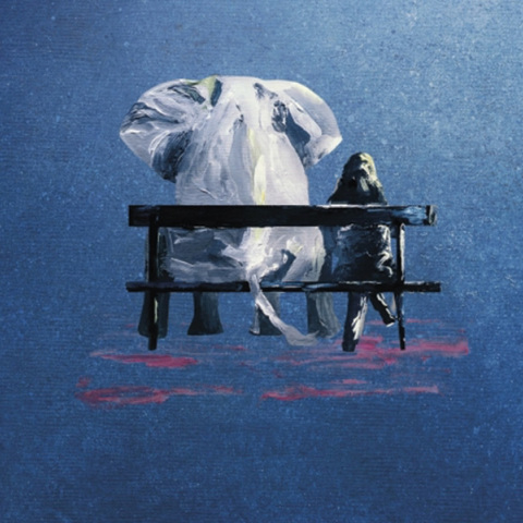 «Ο λευκός ελέφαντας» της Αγνής Ιωάννου