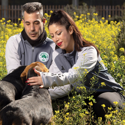 Το «πράσινο» Dog City