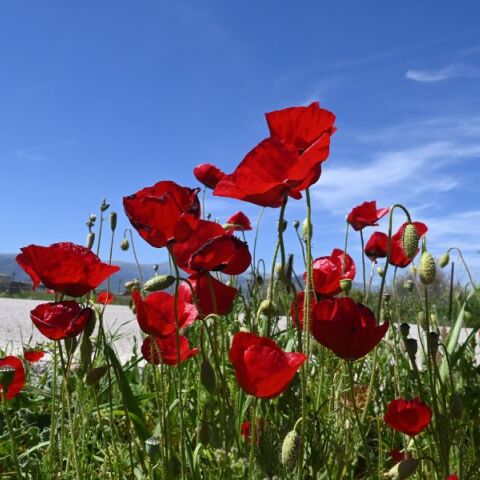 Ο καιρός τη Μεγάλη Δευτέρα, 29 Απριλίου - Καλός με τοπικές βροχές - Αναλυτική πρόγνωση από το meteo και την ΕΜΥ.