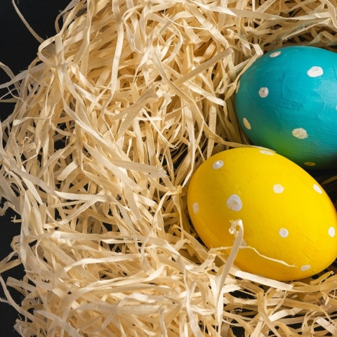Φωλίτσα από χορτάρια και τρία αυγά βαμμένα κίτρινο, κόκκινο και μπλε βαμμένο πουά