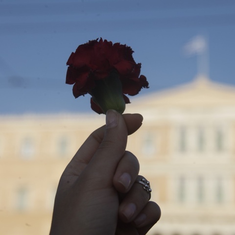 Χέρι κρατά κόκκινο τριαντάφυλλο με φόντο τη Βουλή των Ελλήνων