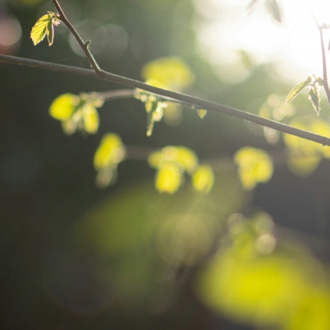 Πάσχα: Πώς θα αμειφθούν όσοι εργάζονται
