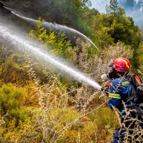 Aντιπυρική περίοδος: Οι οδηγίες από το Πυροσβεστικό Σώμα