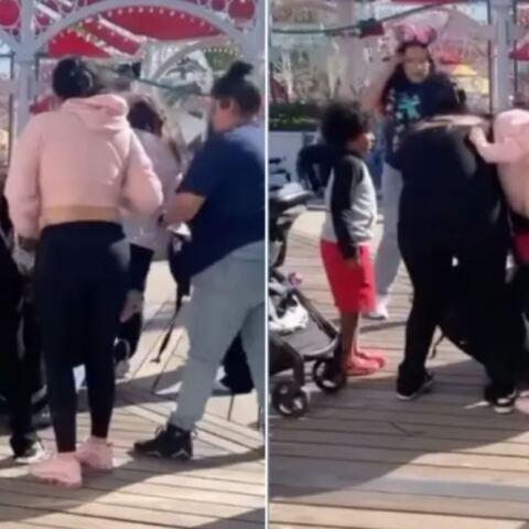 Ντίσνεϊλαντ: Άγριο ξύλο μαμάδων στο θεματικό πάρκο