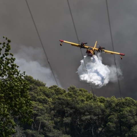 Φωτιά τώρα στην Αγία Τριάδα Βοιωτίας 
