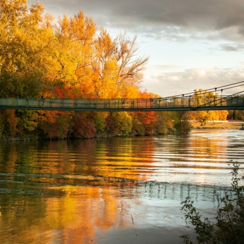 Πιεστάνυ: Το νησί των spa στη Σλοβακία 