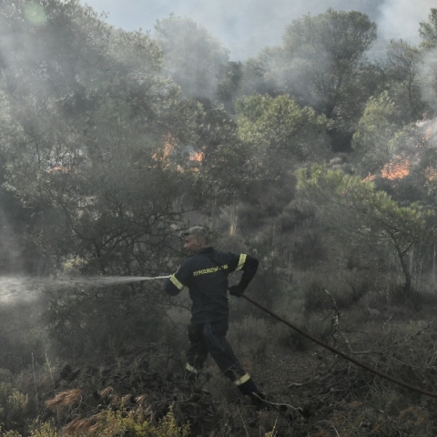 Πυρκαγιές: Αύξηση σχεδόν 22% τους πρώτους 5 μήνες του 2024 σε σχέση με πέρυσι