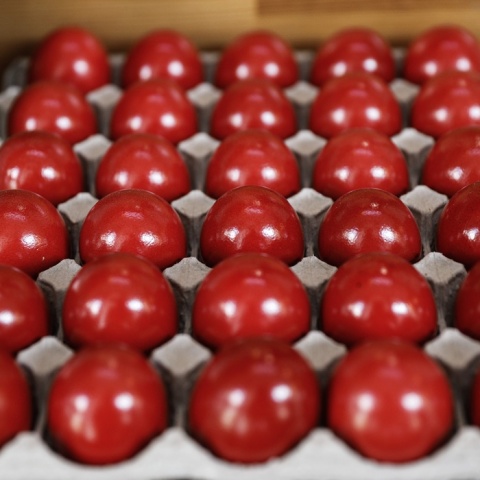 Βαμμένα κόκκινα αυγά