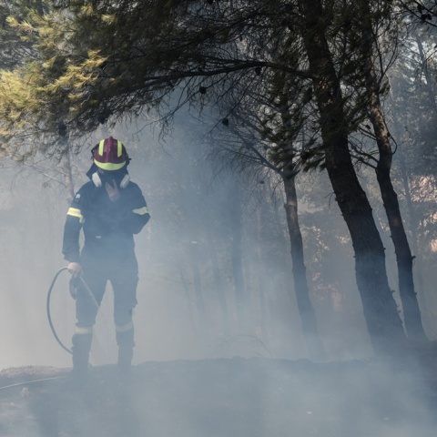 Πυροσβέστης με μάνικα επιχειρεί για την κατάσβεση