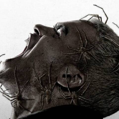 Στον ιστό του τρόμου: Ο Σεμπαστιάν Βανιτσέκ ξέρει καλά να προκαλεί… τρόμο