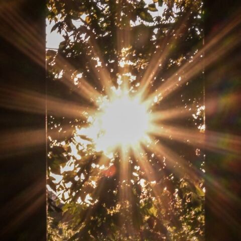 Καιρός: Αίθριος την Τρίτη 7 Μαΐου 2024 - Ηλιοφάνεια και θερμοκρασίες έως 29 βαθμούς - Αναλυτική πρόγνωση για όλη την Ελλάδα. 