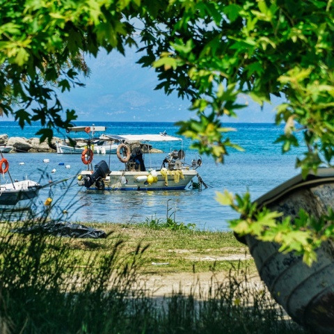 Βάρκα λουσμένη στο φως του ήλιου, φωτογραφία που έχει βγει μέσα από τα κλαδιά δέντρου