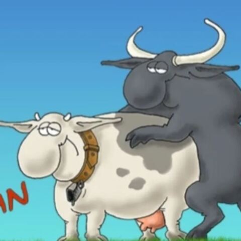 Αρκάς: Το πασχαλιάτικο GIF με την... κουδούνα