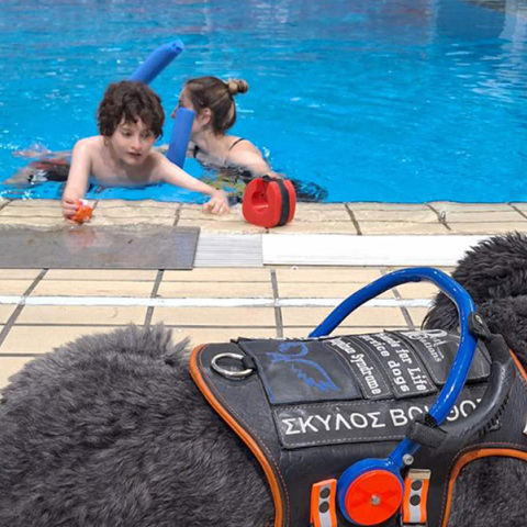 Σκύλος βοηθός: Η ιστορία του Αντώνη Γκούφα και της Bubbles, το έλλειμμα ενημέρωσης και η ανάγκη συμπερίληψης