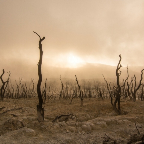 Tον Απρίλιο, η υπερθέρμανση του πλανήτη συνεχίστηκε