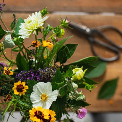 Εορτολόγιο: Σήμερα 10 Μαΐου 2024 γιορτάζει…