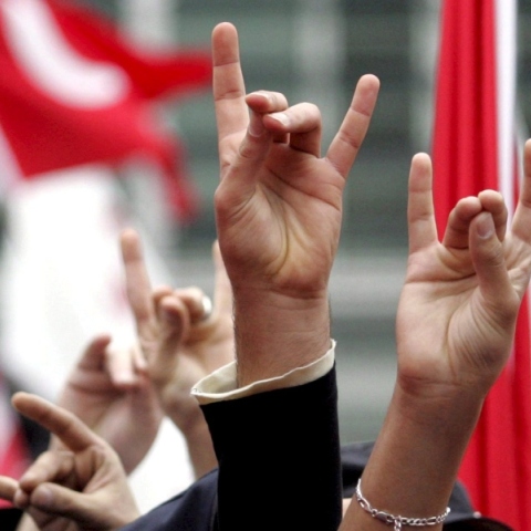 Le Figaro: Δημοσίευμα κάνει λόγο για αναζωπύρωση της δράσης των Γκρίζων Λύκων στη Γαλλία