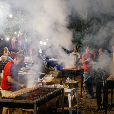 Ηλεία: Τροφική δηλητηρίαση από βραστή προβατίνα