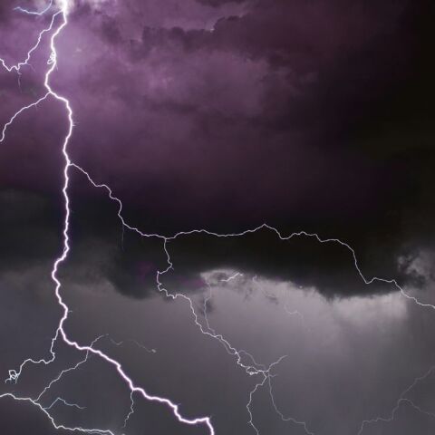 untitled_design_-_2024-05-10t175741_609