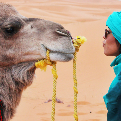 Ελεύθερος ταξιδιώτης