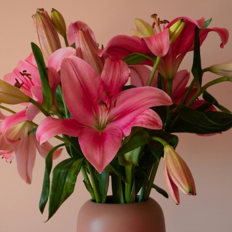 Εορτολόγιο: Σήμερα 26 Αυγούστου 2024 γιορτάζει…