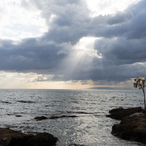 Οι shashin lovers πλατσουρίζουν στη «Θάλασσα»