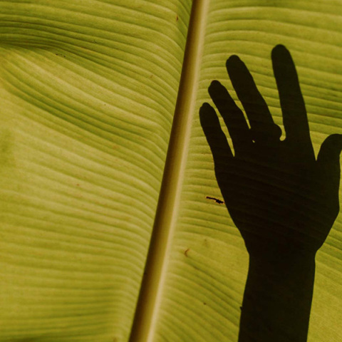 Ημερίδα του Clima21 για την «πράσινη» μετάβαση