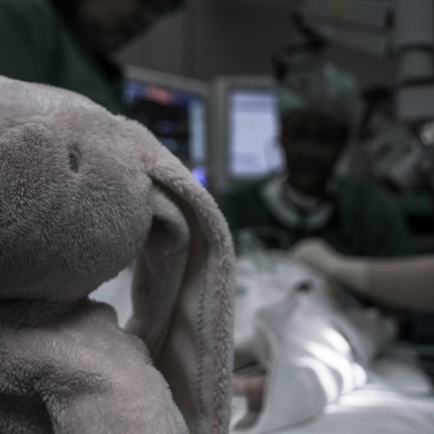 Αρκουδάκι μέσα στο νοσοκομείο ενώ γίνεται εξέταση σε παιδάκι