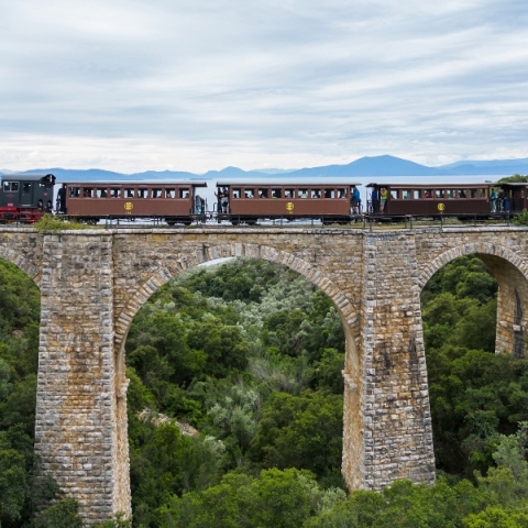 Βόλος: Το τρενάκι του Πηλίου άρχισε ξανά να λειτουργεί