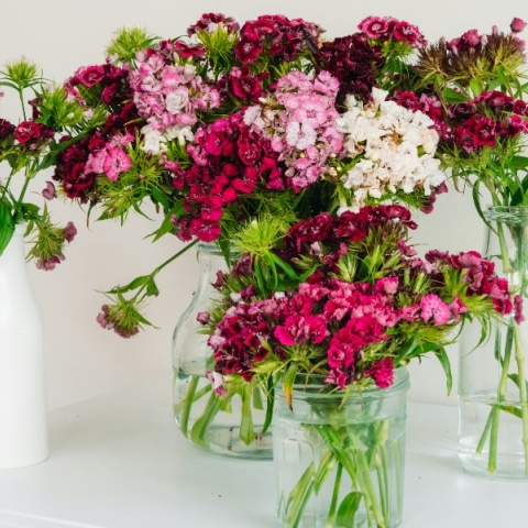 Εορτολόγιο: Σήμερα 20 Μαΐου 2024 γιορτάζει…