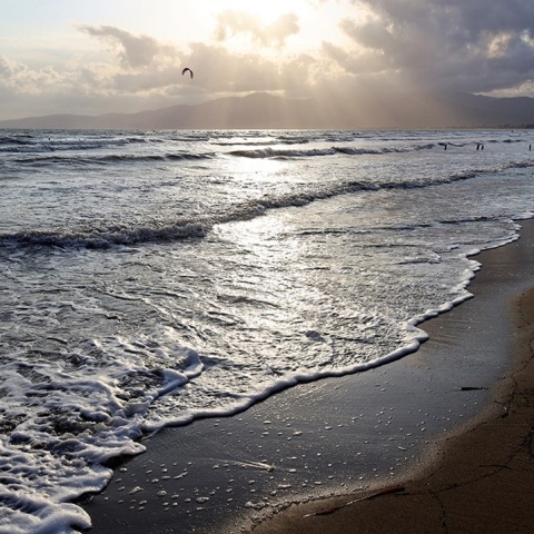 Η παραλία του Σχινιά