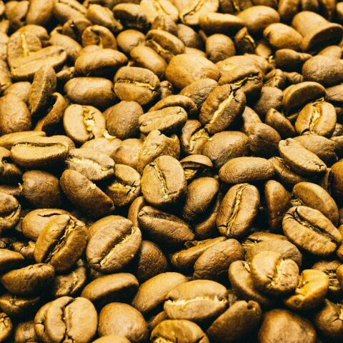 Κόκκοι καφέ